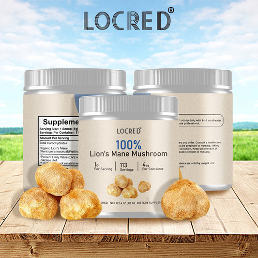 Poudre de " Lion Mane" aux champignons