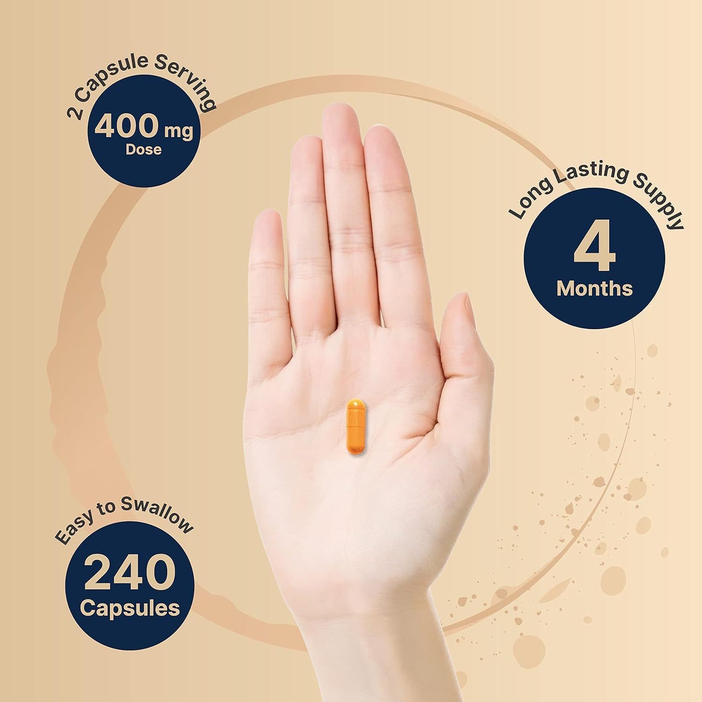 Gélules Vitamine B2