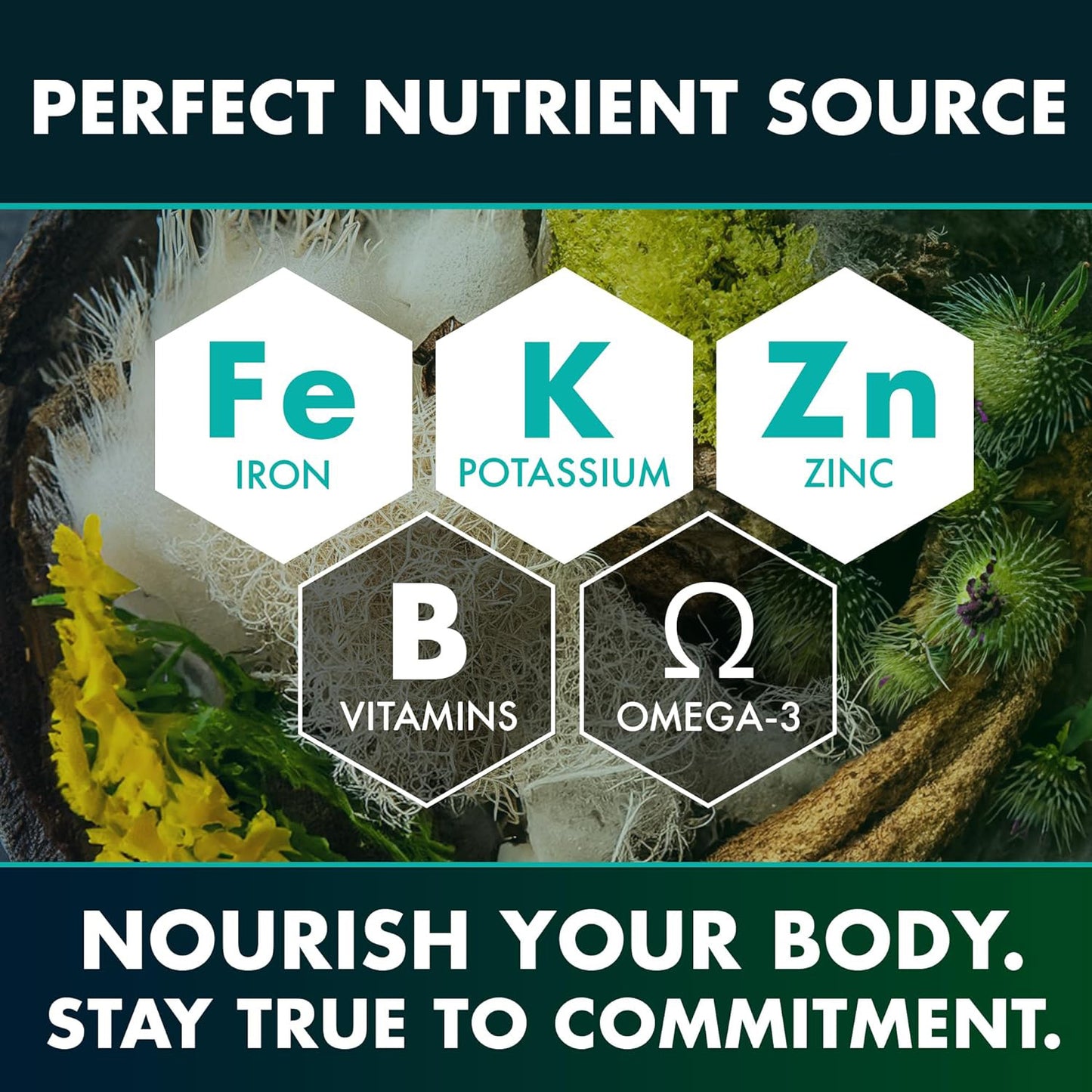 Gélules de vitamine composée d'algues